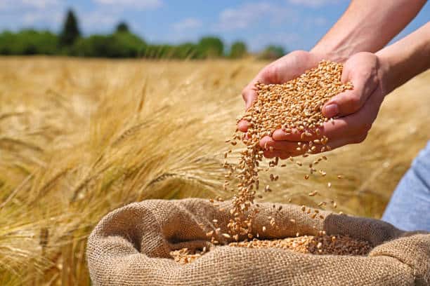 Agroalimentaire